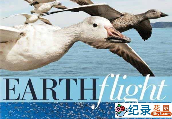 BBC自然生态纪录片《鸟瞰地球 Earthflight》全6集 720P/1080i高清纪录片资源百度云盘下载插图